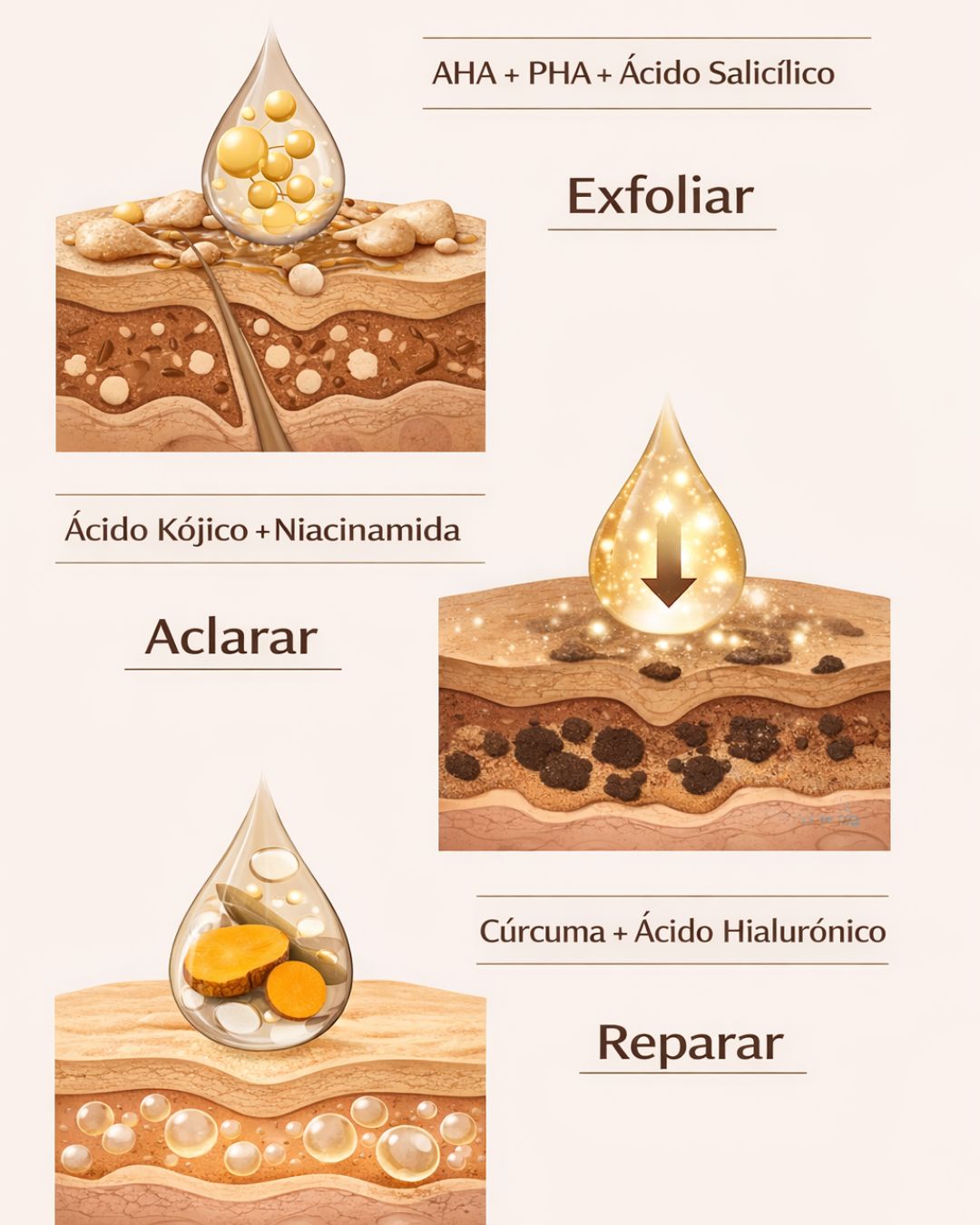 ¿Cómo funciona? ¿Cuáles son sus principales ingredientes?